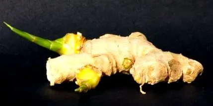 időre időről