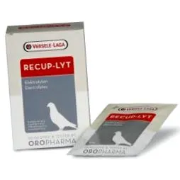 recup-lyt recup-lyt