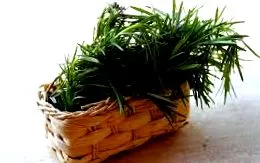bucătărie
