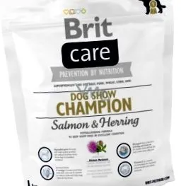 care care