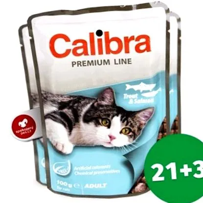 котів котів