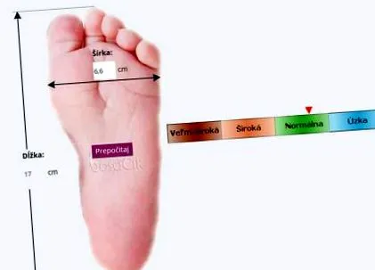 blog pantofi
