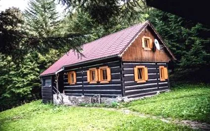 цялата цялата
