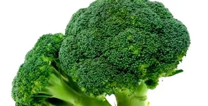 legume