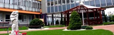 universitar spitalul
