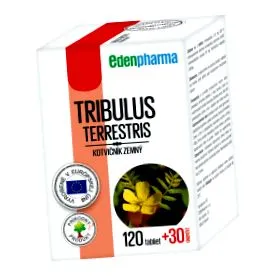Tribulus Terrestris