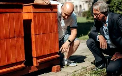 градски кошице