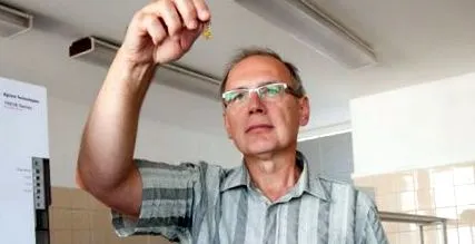 răpește