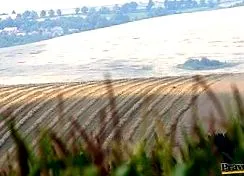 фермите става