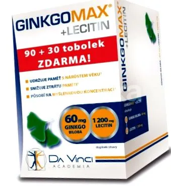 vinci ginkgo