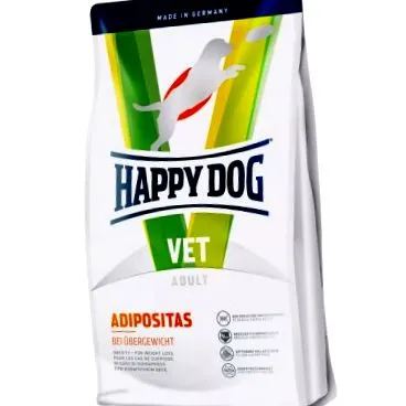 adipositas diet