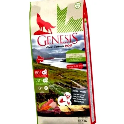 genesis