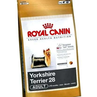 yorkshire