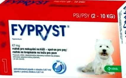 csepegtető