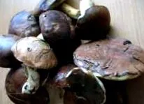 prăjit