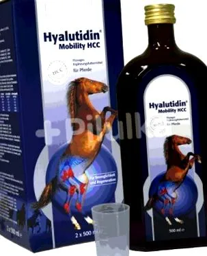 mobility acid hialuronic