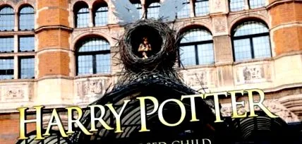 harry cursed