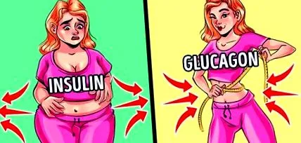 există hormoni