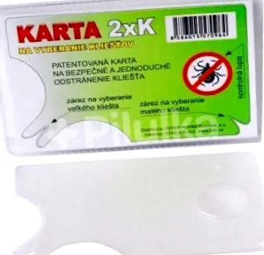 conținutul intestinelor