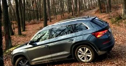 milovan kodiaq