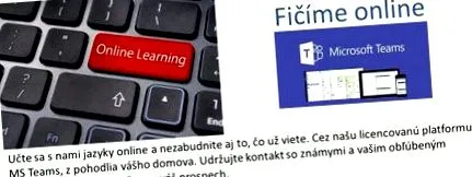 cursuri străine