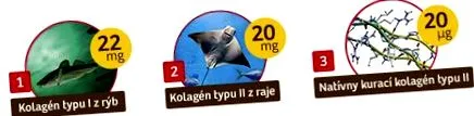 kollagén meghatározott ínszalag