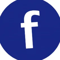 electronică