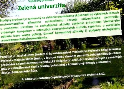 anunțat Fundația