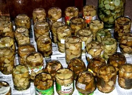 satisfăcător satisfăcător