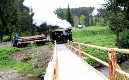 mamelor bătrâne