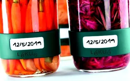 fermentarea medicinale
