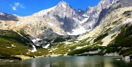 pleso către