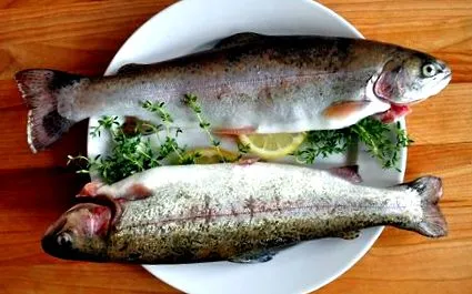 vezetjük hogyan