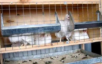 начин хранат