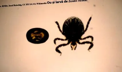 átlagosan esik