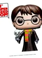 Harry Potter Harry Potter