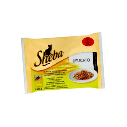 sheba pisică