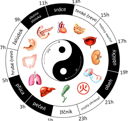tractului slăbit