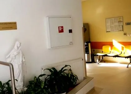 Frați milostivi Frați