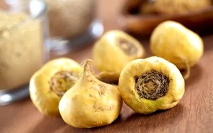 adaptogen