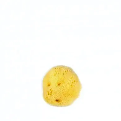 nealbit