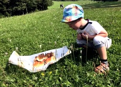 muráň