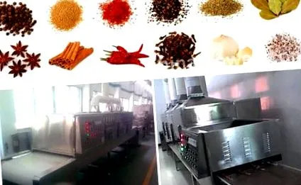 микровълнови доставчици