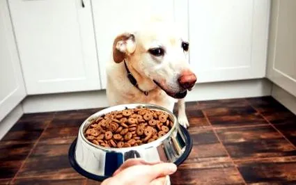 може