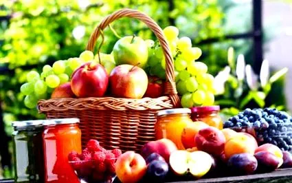 nutriția pentru oameni