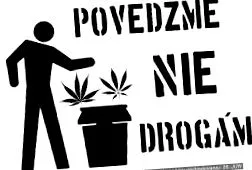news elementară