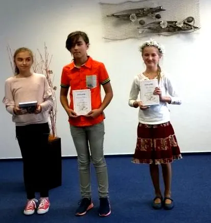 adăugate galerie svinná
