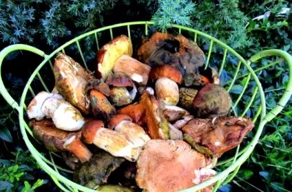 dacă chiar