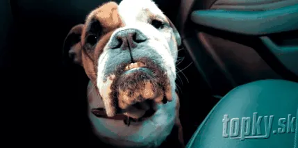 neplăcute