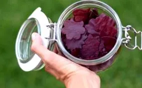 fructe